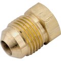 Watts 39P Series 39P8 Pipe Plug, 12 in, Flare, Brass 754039-08